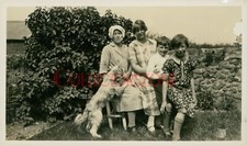 1928  Gwernaffield Flintshire Farmers wife With dog & Family  Photo 5x3 inch