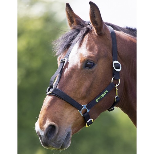 Shires greenguard headcollar - shires,