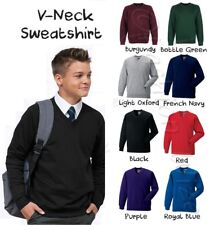 Boys School Jumper V Neck