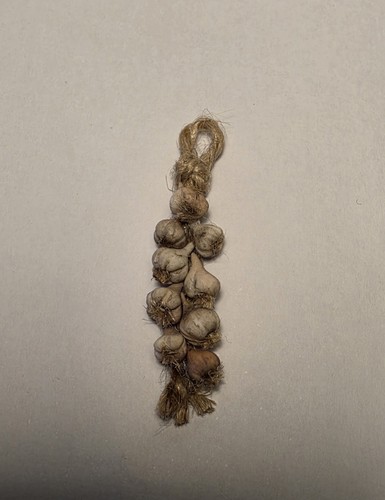 Miniature garlic braid - garlic,