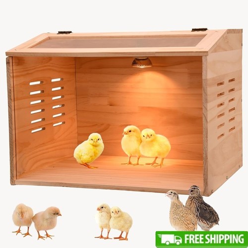 110v 50w heating lamp - lamp, brooder