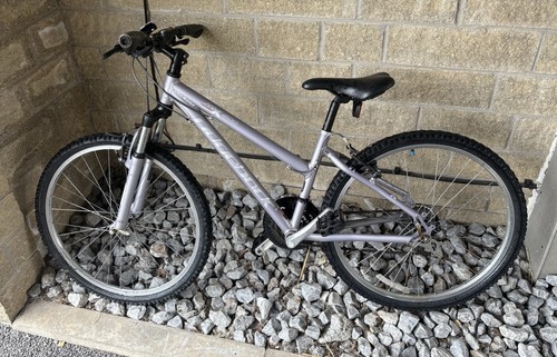Mountain bike - mountain,
