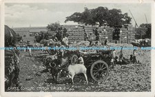 R181209 Carts Loading Cotton Bales. D. Macropolo