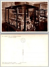 RPPC Museum Display Porcelain