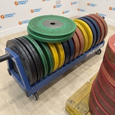 WERKSAN LIONFIT Competition