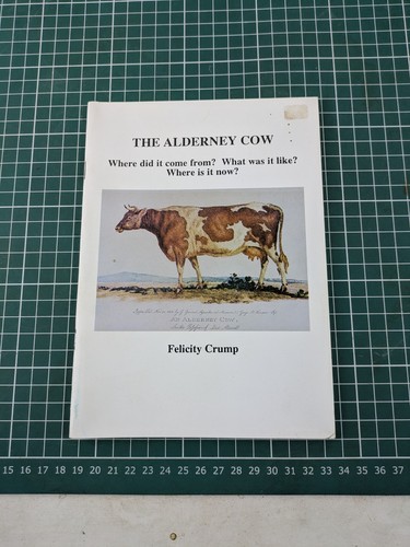 The alderney and - the,