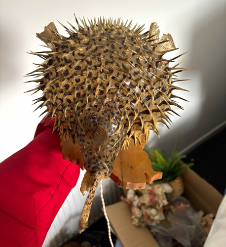 100 real pufferfish lamp - real,