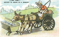 VINTAGE COMIC postcard:   LADY DRIVING A DONKEY CART