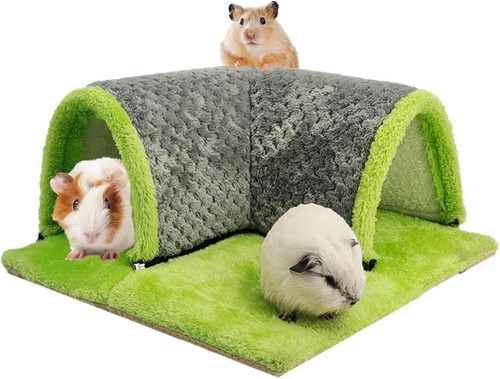 Yanmucy guinea pig - pig, tunnel
