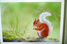 Red Squirrel by Toni Watts