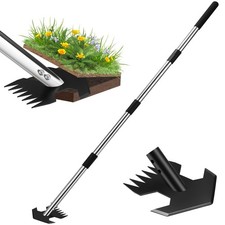Hoe Garden Tool, Scuffle