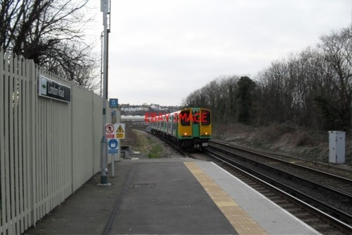 Photo southern emu 313208 - photo,