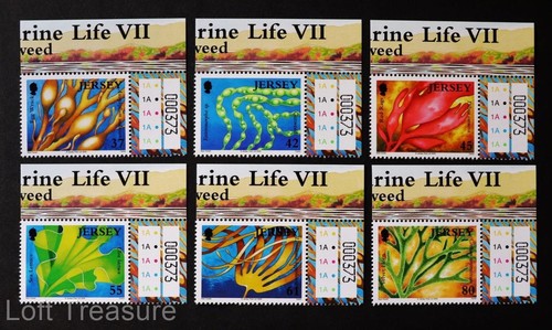 Jersey stamps marine life vii - jersey, "marine