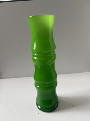 Vintage aseda cased lime green - aseda,