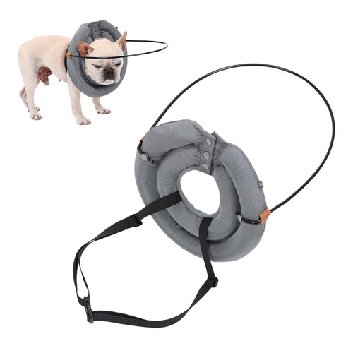 Blind pet collar - pet, halo