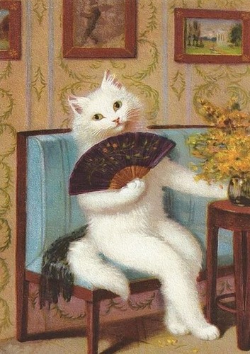 Puss with fan - with,