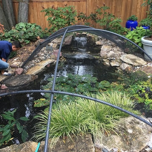 Pond netting for koi - fish, 6x6m
