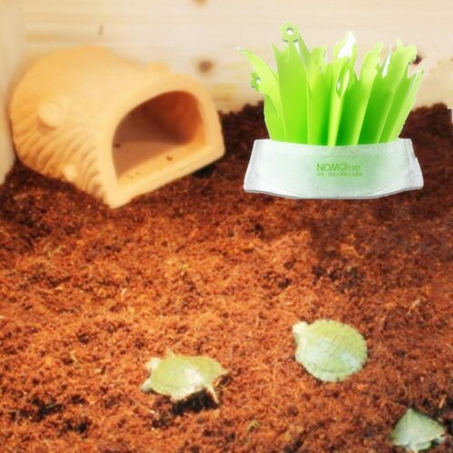 Reptile vivarium decoration - reptile,