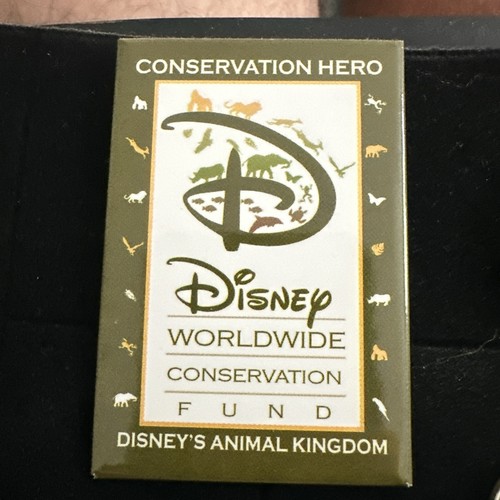 Disney pin badge - pin,