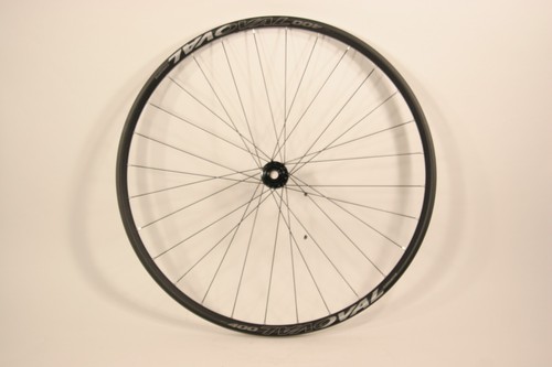 Oval 400 disc - oval, 29"