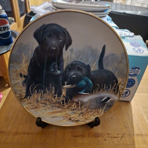 Royal doulton franklin - doulton,