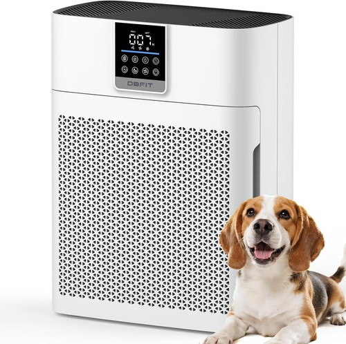 Air purifiers for - for, large