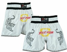 Evo muay thai kick - muay, boxing