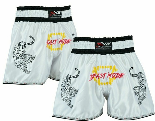 Evo muay thai - muay, kick