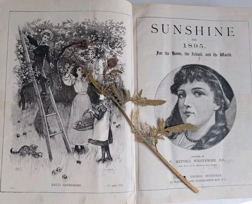 1895 bound volume sunshine - 1895,