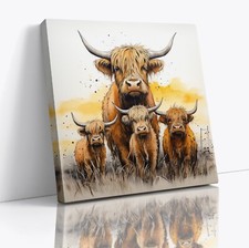 Cute highland cow - cow, family