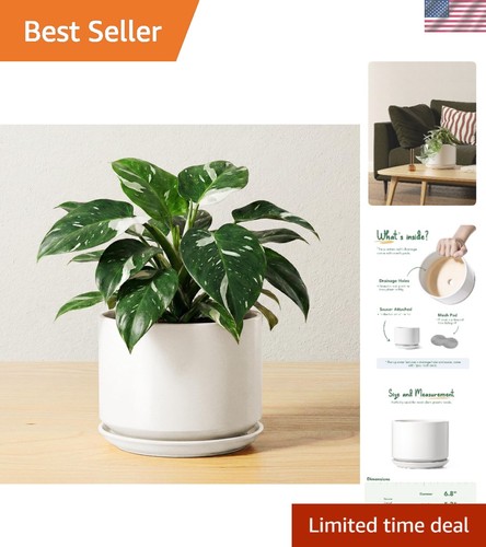 Inch ceramic pots for - ceramic,