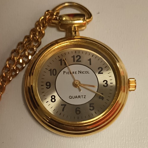 Pierre nicol watch pocket - pierre,