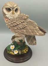 Large Country Artists Owl figurine VGC Height 21cm