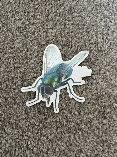 Stussy ss26 fly - stussy, gear