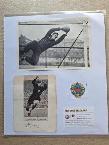 Vladimir beara red star - red,