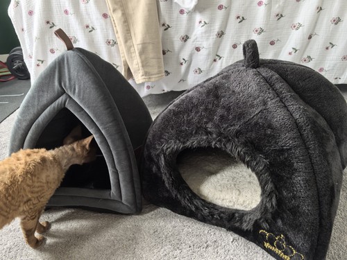 Plush igloo cave cat bed - igloo/cave,