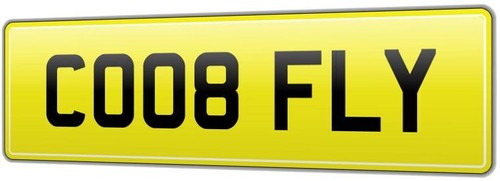 Pigeon racing van reg number - racing,