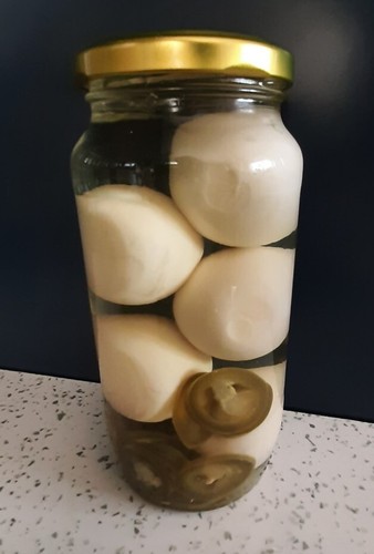 Pickled eggs deli homemade - deli,