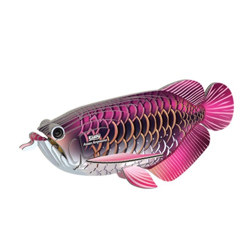 Eugy asian arowana - 3d, model