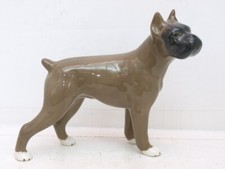 Studio Szeiler No.137 Boxer Dog, quite rare.