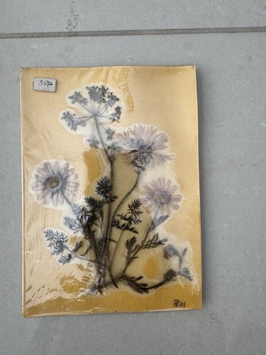 Vintage pressed flower - vintage,