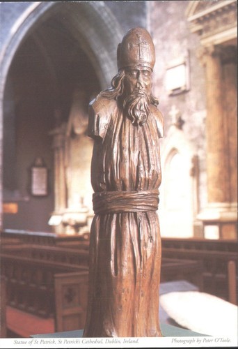 Patrick cathedral dublin - cathedral,