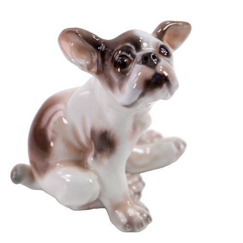 French bulldog copenhagen dahl - bulldog,