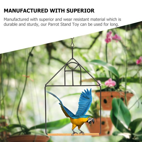 Indoor parrot stand metal bird - indoor,