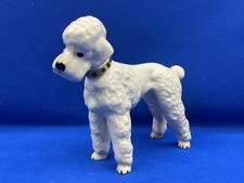 1960's Poodle Dog, made in England, 15 cm high x 18 cm long.