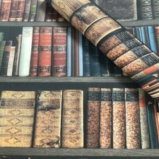 BOOKS WALLPAPER WALL PAPER ROLLS DECOR LIBRARY 934809 RASCH 