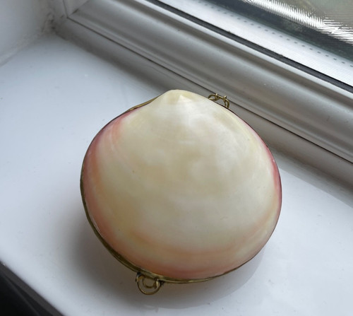 Vintage clam sea shell - clam,
