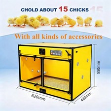 Poultry Brooder Box Birds
