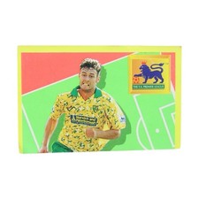 Merlin FA Premier League 1994 Chris Sutton Norwich City Top Sticker 299 Football