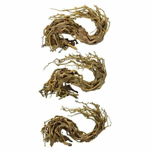 Superfish bonsai wave tree - bonsai,